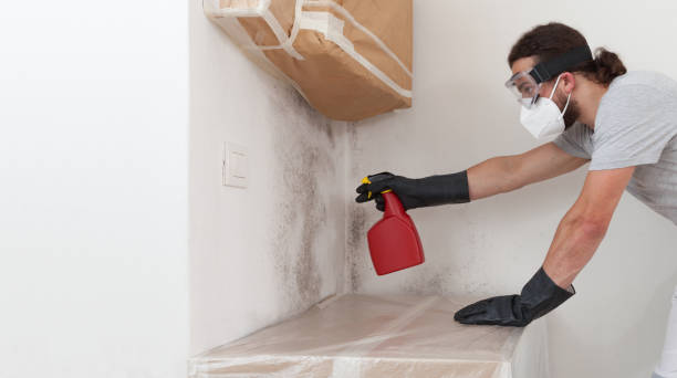Professional Basement Mold Remediation technician working in Richmond, VA