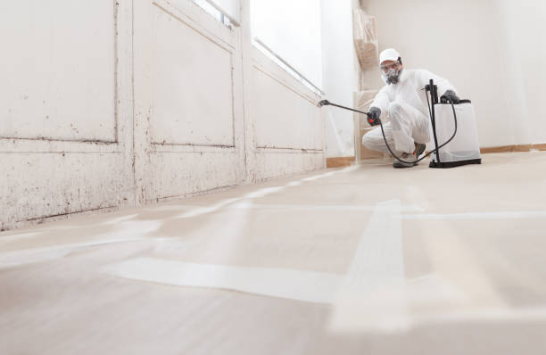 24/7 Emergency Basement Mold Remediation experts in Richmond, VA