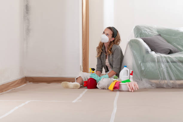 Trusted Mold Inspection service in Richmond, VA - Cheap Mold Removal