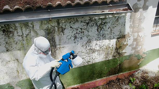 Trusted Bathroom Mold Removal service in Richmond, VA - Cheap Mold Removal